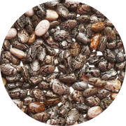 Seeds - Rosanuts